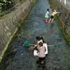 kids playing in a river