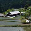 Rice fields and homes