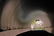 Cherry trees and a tunnel at MIHO