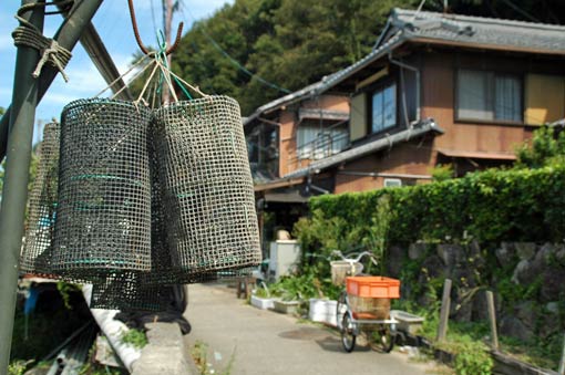 Fish traps beside the street