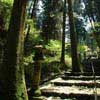 Path to the Sai-to area of Hieizan-Enryakuji