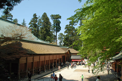 Conpon-chudo in the To-do area of Enryakuji (The building is now covered up for the renovation. Visitors can still go inside, however.)