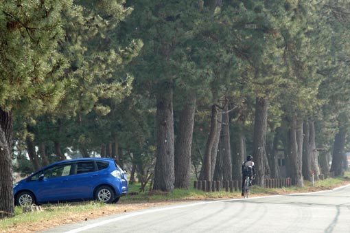 cyclist on a lakeside road