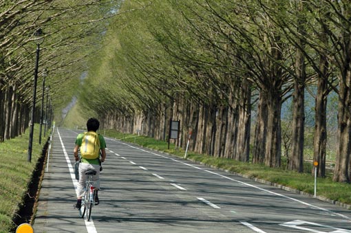 cyclist in Makino