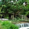 Stone bridges in Hiyoshitaisha Shrine