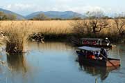 Boat cruise in the Suigo area